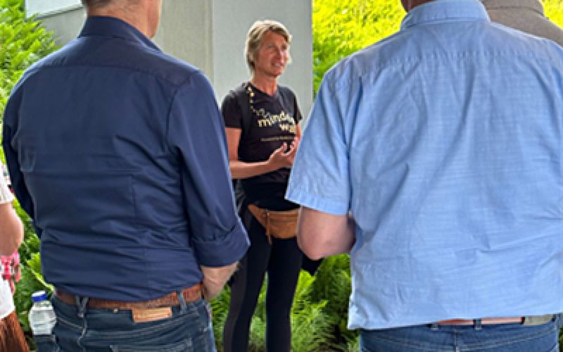 Groei per stap biedt Mind-Voel-Walk